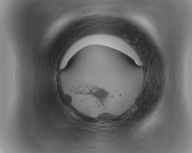 X0000115120146200911241354