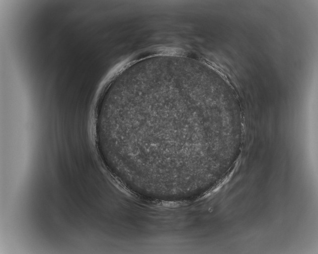 X0000115120149200911241354