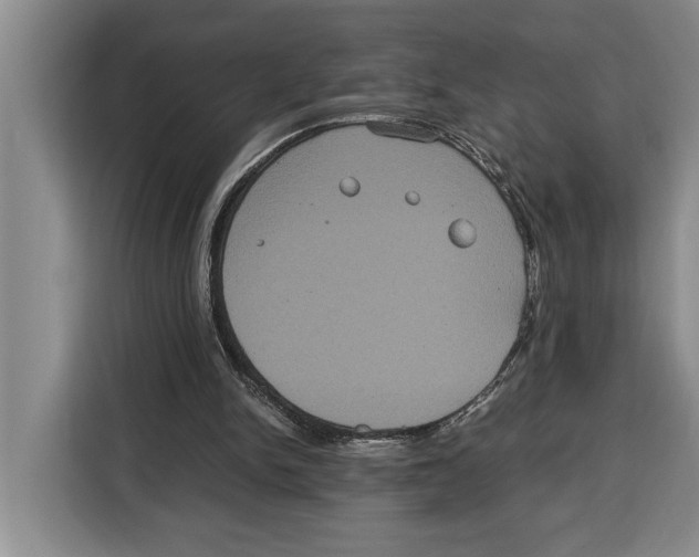 X0000115120150200911241354