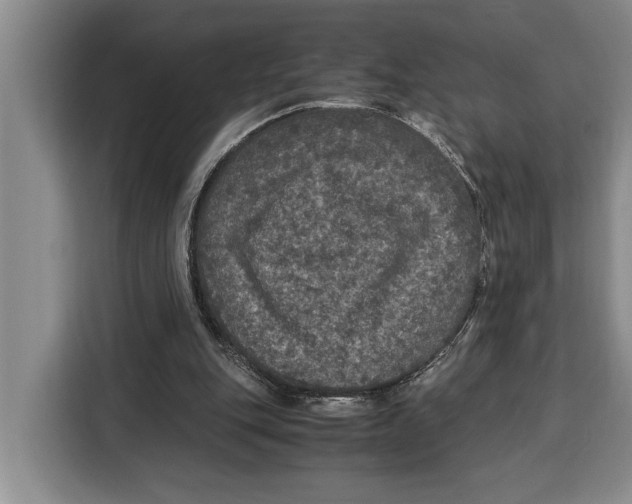 X0000115120151200911241354