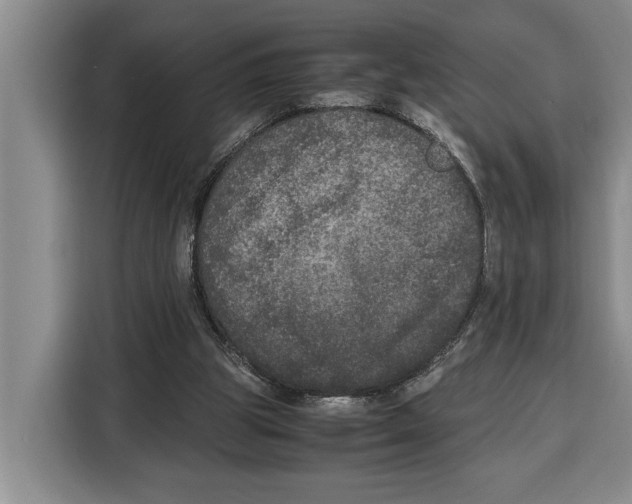 X0000115120153200911241354