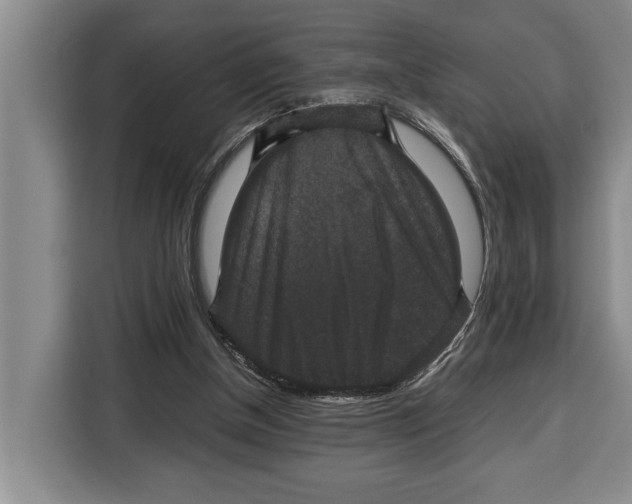 X0000115120154200911241354