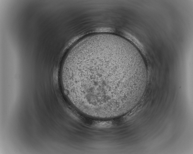 X0000115120155200911241354