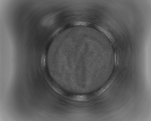 X0000115120157200911241354