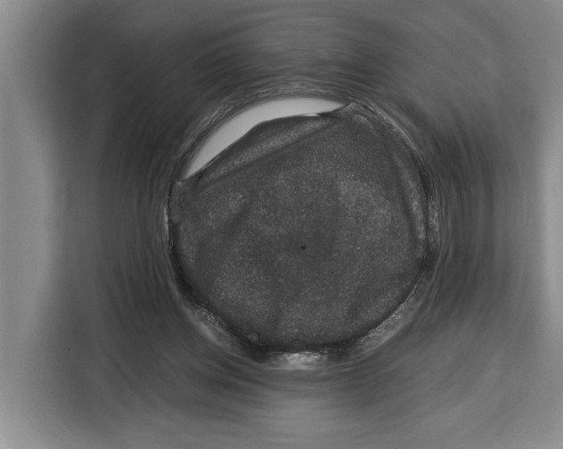 X0000115120158200911241354