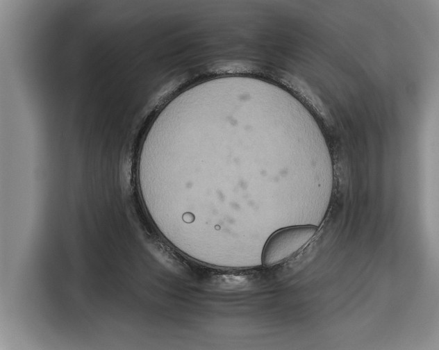 X0000115120159200911241354