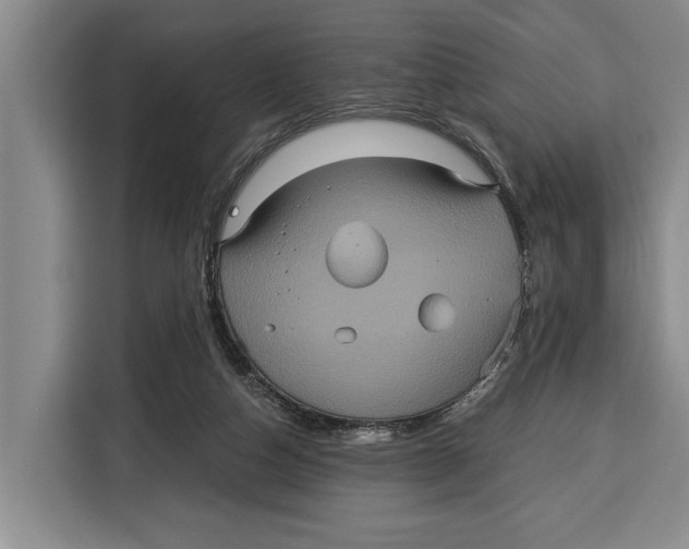 X0000115120162200911241354