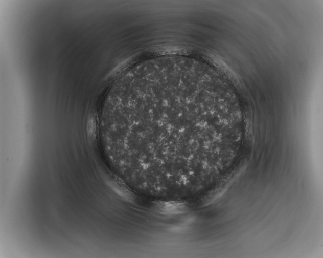 X0000115120165200911241354