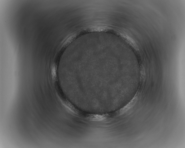 X0000115120166200911241354