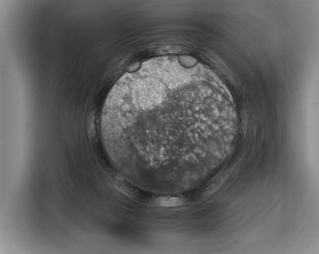 X0000115120169200911241354