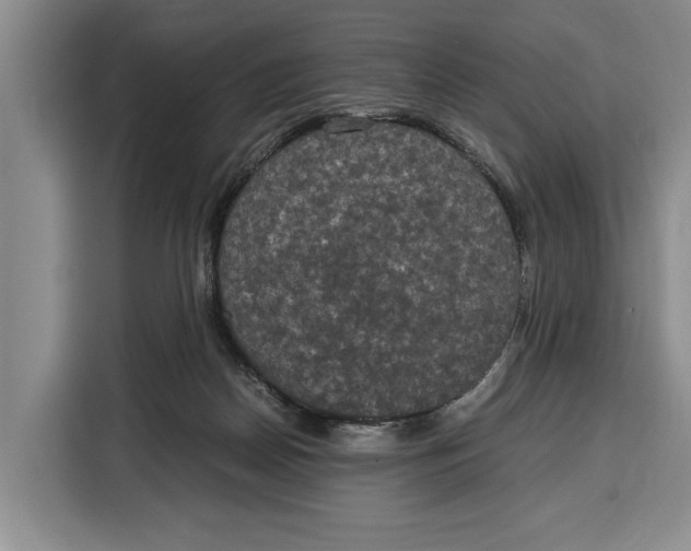 X0000115120170200911241354