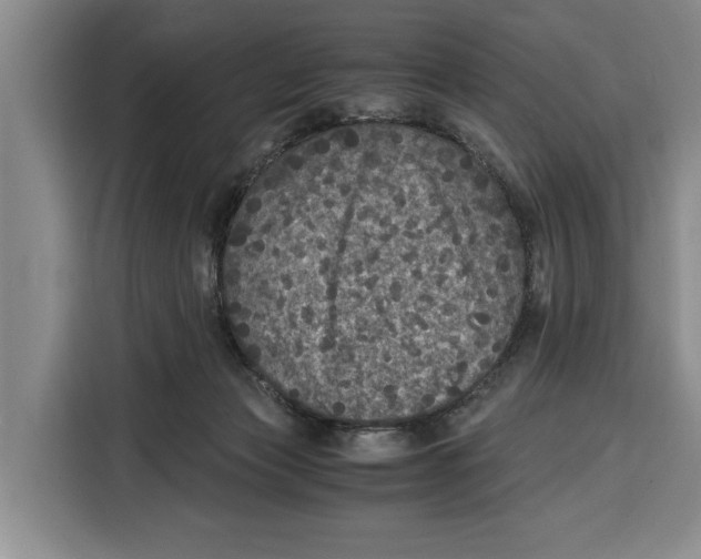 X0000115120173200911241354