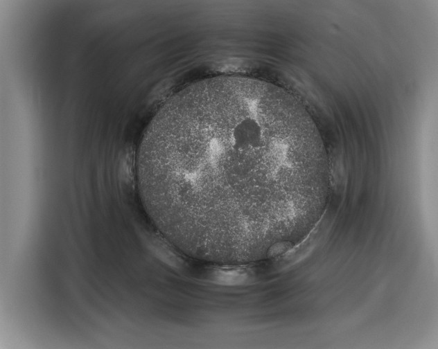 X0000115120175200911241354