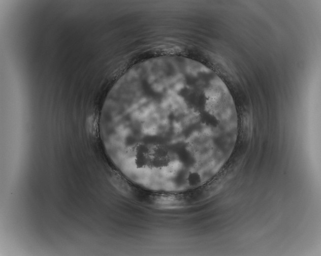 X0000115120177200911241354