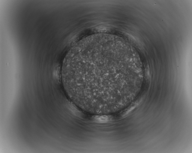 X0000115120181200911241354