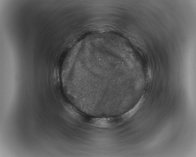 X0000115120182200911241354