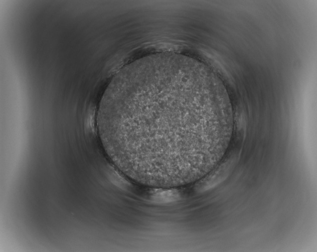 X0000115120185200911241354