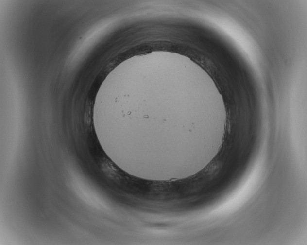 X0000115120190200911241354