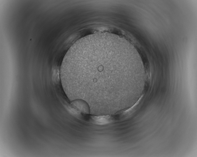 X0000115120191200911241355