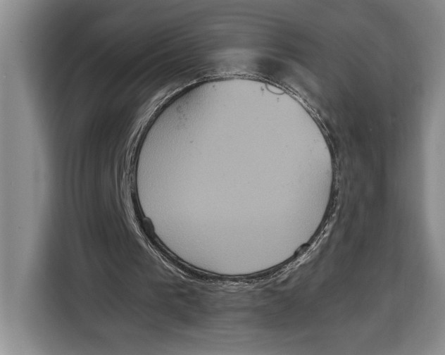 X0000115120193200911241354