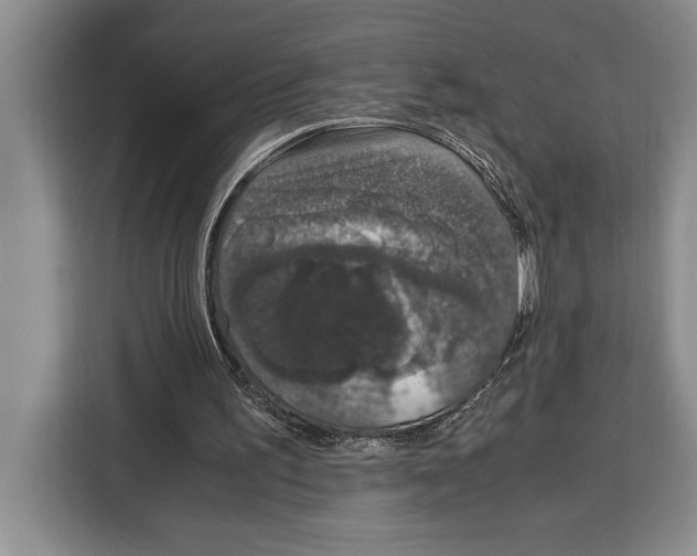 X0000115120195200911241354