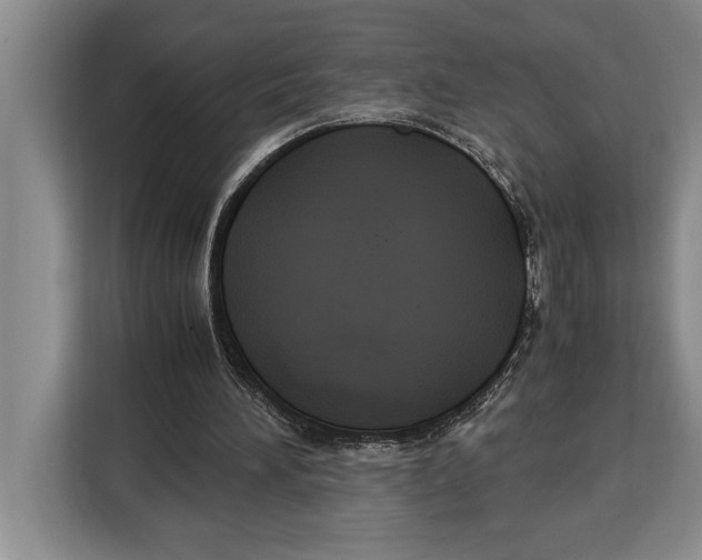 X0000115120196200911241354