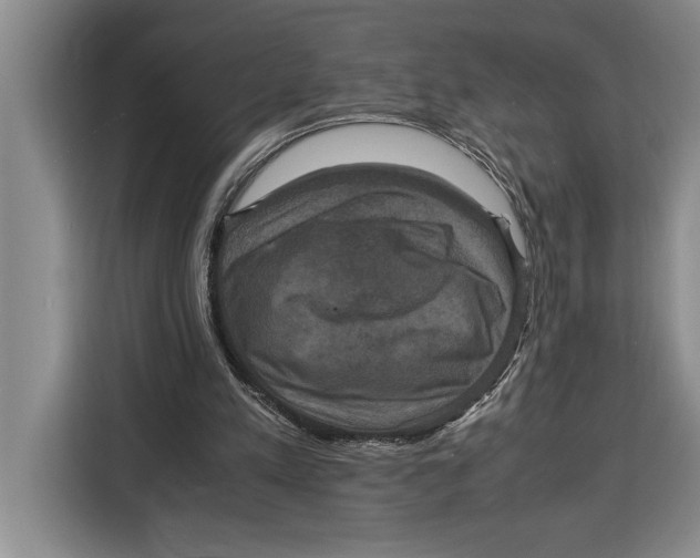 X0000115120197200911241354