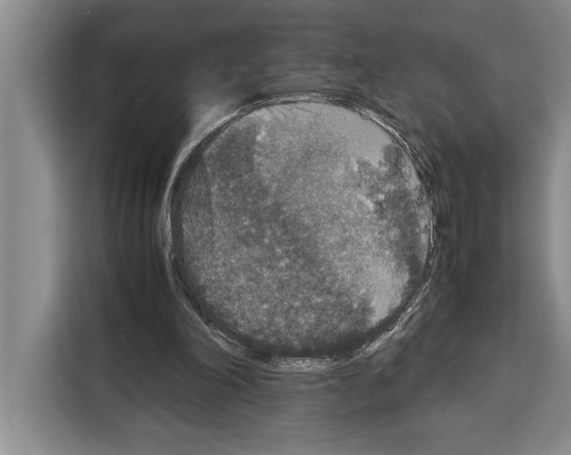 X0000115120198200911241354