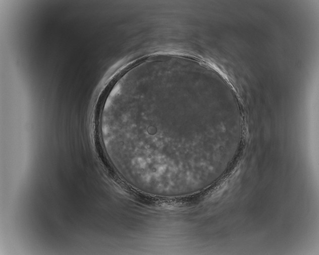 X0000115120199200911241354