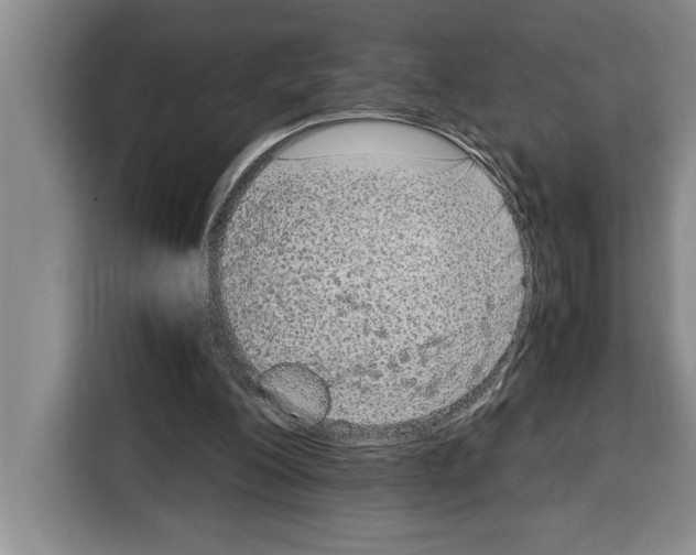 X0000115120200200911241354