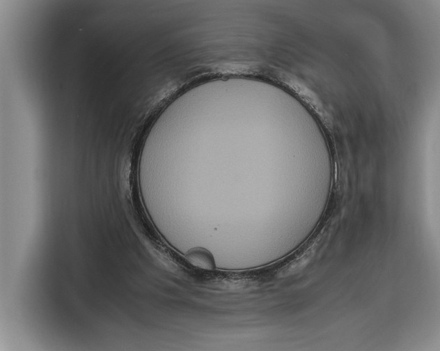 X0000115120201200911241354