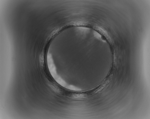 X0000115120202200911241354