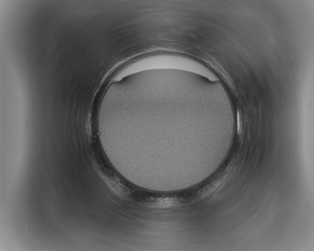 X0000115120204200911241354