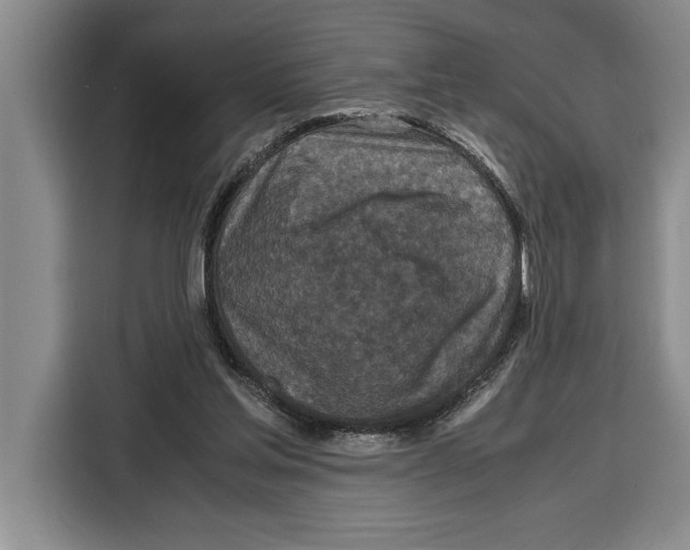 X0000115120205200911241354