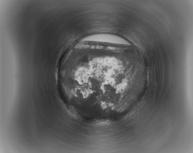 X0000115120206200911241354