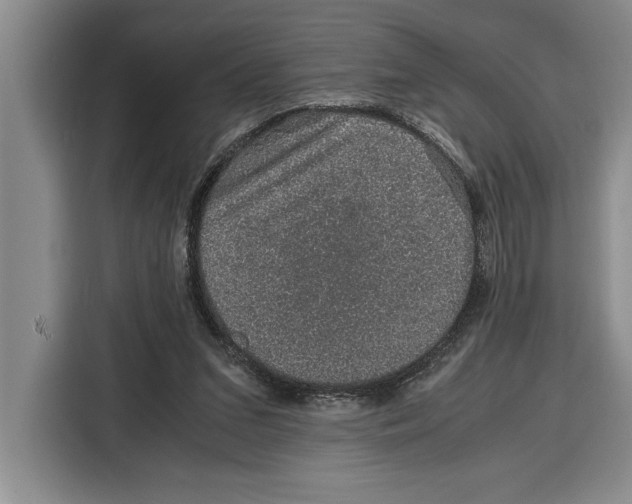 X0000115120207200911241354