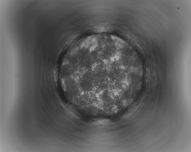 X0000115120210200911241354