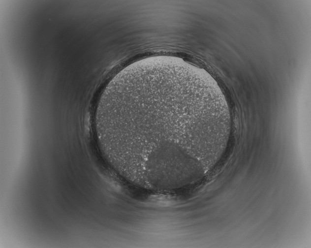 X0000115120211200911241354