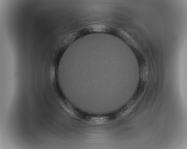 X0000115120213200911241354