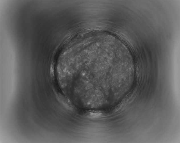 X0000115120214200911241354