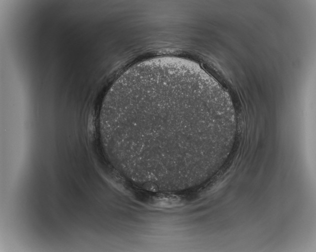 X0000115120215200911241354