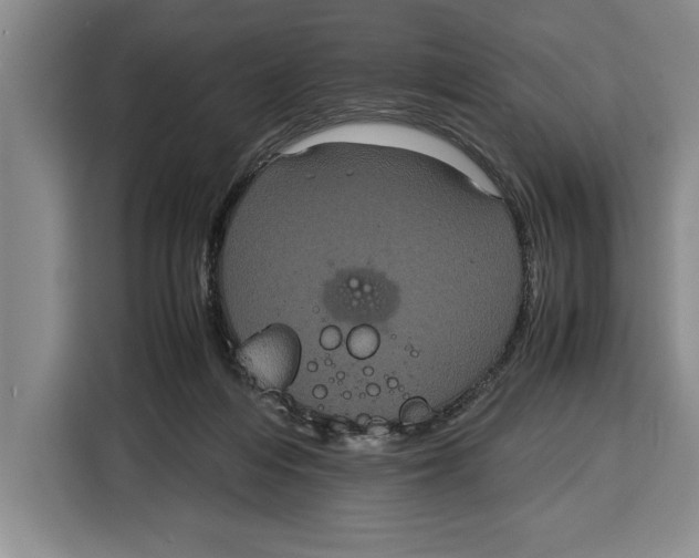 X0000115120216200911241354