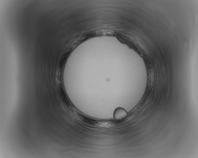 X0000115120218200911241354