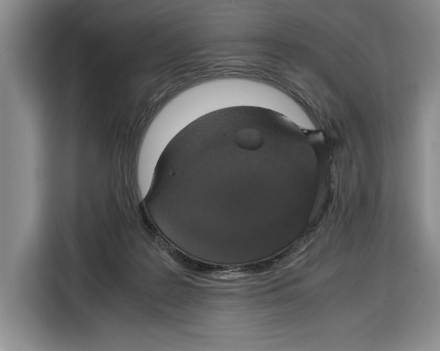 X0000115120219200911241354