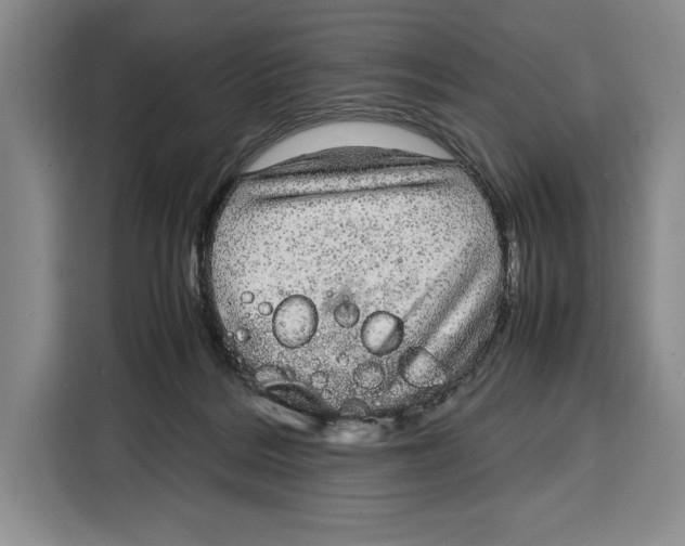 X0000115120220200911241354