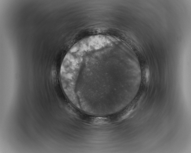 X0000115120222200911241354