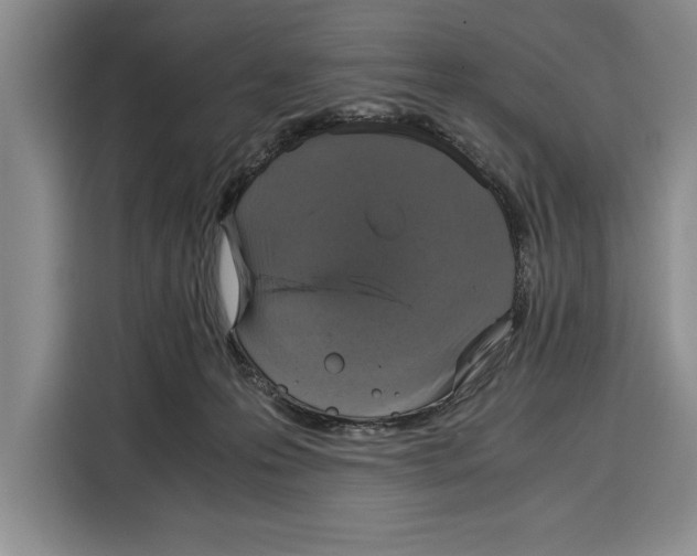 X0000115120223200911241354