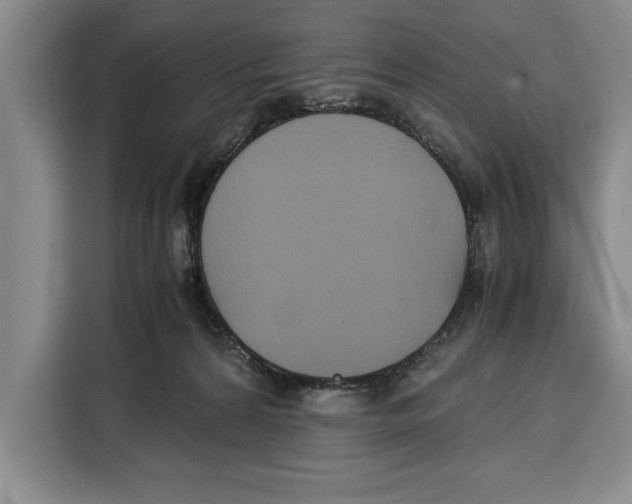 X0000115120224200911241353