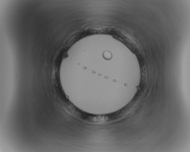 X0000115120225200911241353