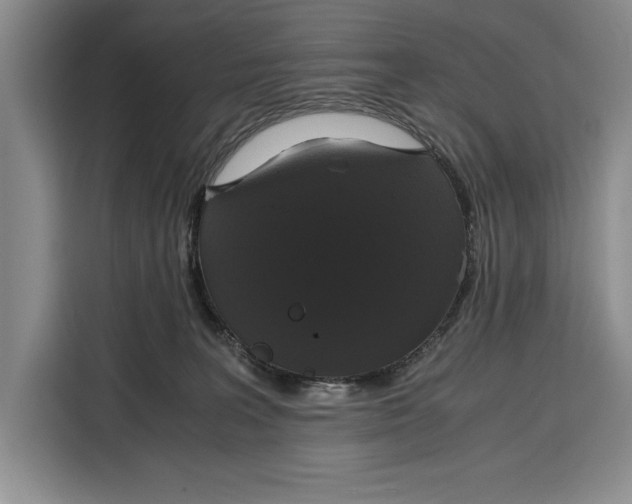 X0000115120227200911241353